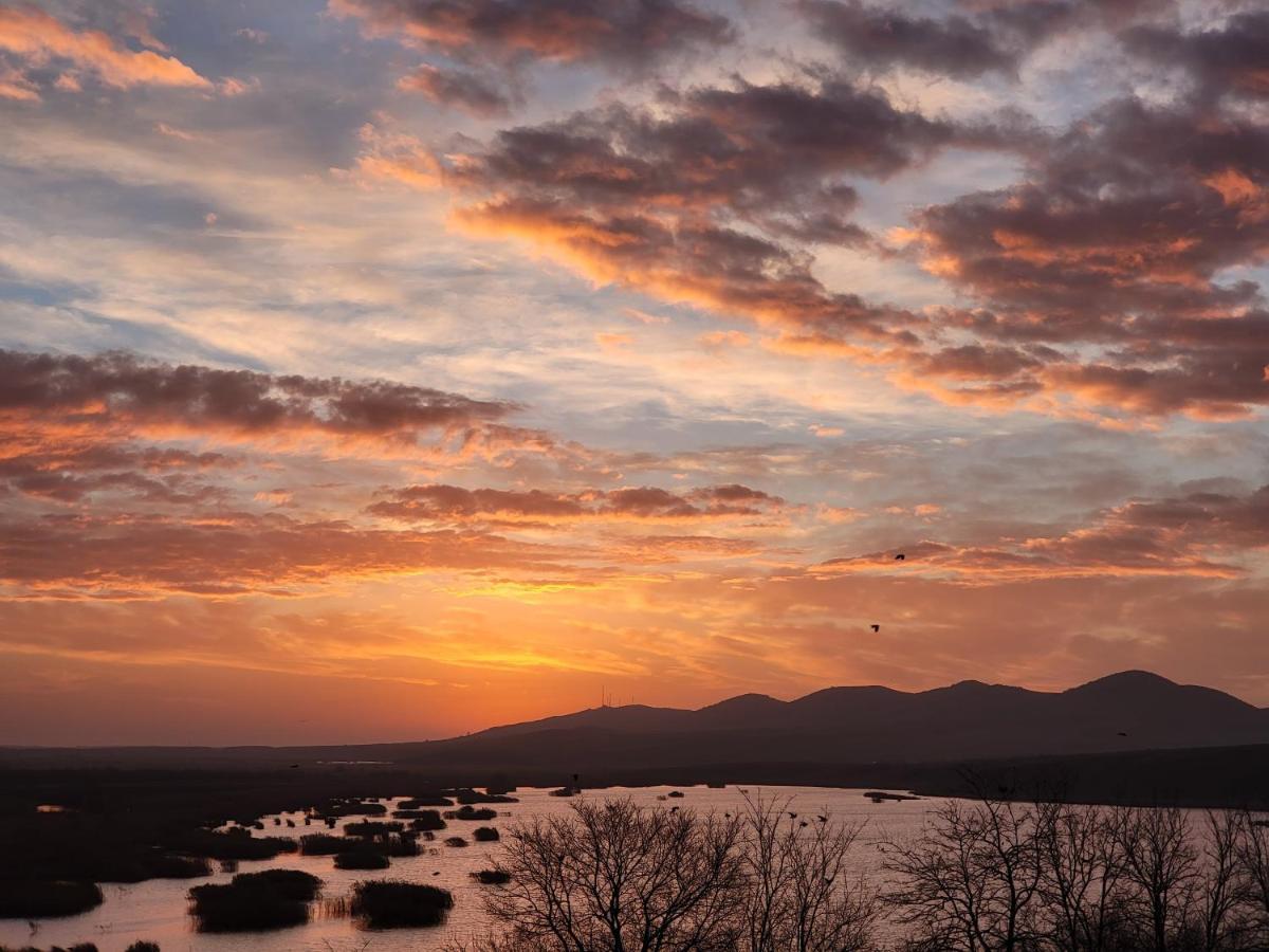 Pensiunea 4 Salcii Băltenii de Sus Dış mekan fotoğraf