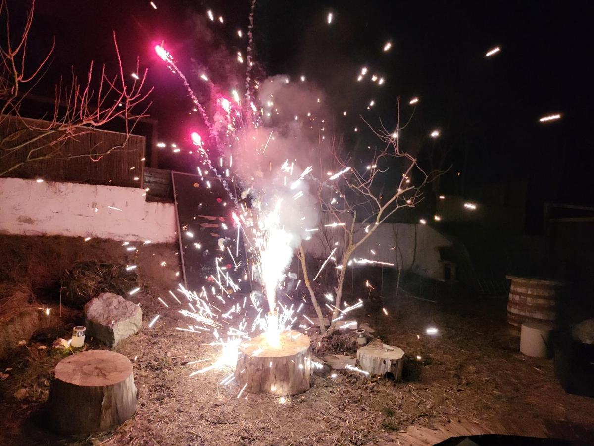 Pensiunea 4 Salcii Băltenii de Sus Dış mekan fotoğraf